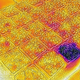 Illustration for article titled The First Thermal Imaging Phone Made Me Feel Like Predator
